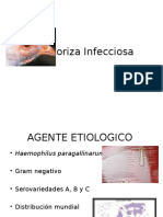 Coriza Infecciosa 2