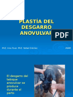 Plastía Del Desgarro Anovulvar