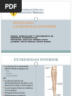 METAMERAS | PDF | Mano | Dedo del pie