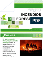 INCENDIOS FORESTALES