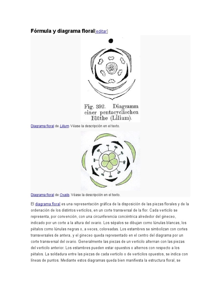 Fórmula y Diagrama Floral | Plantas de jardín | Botánica