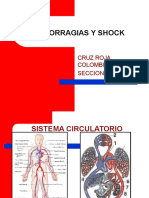 Hemorragias y Shock 1