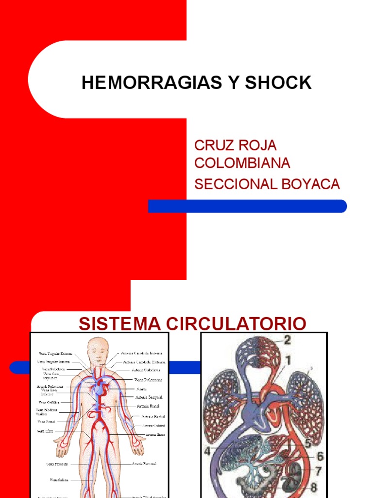 Hemorragias y Shock 1 PDF Choque (circulatorio) Sangre