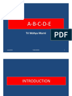 A3 - ABCDE Algorithms PDF