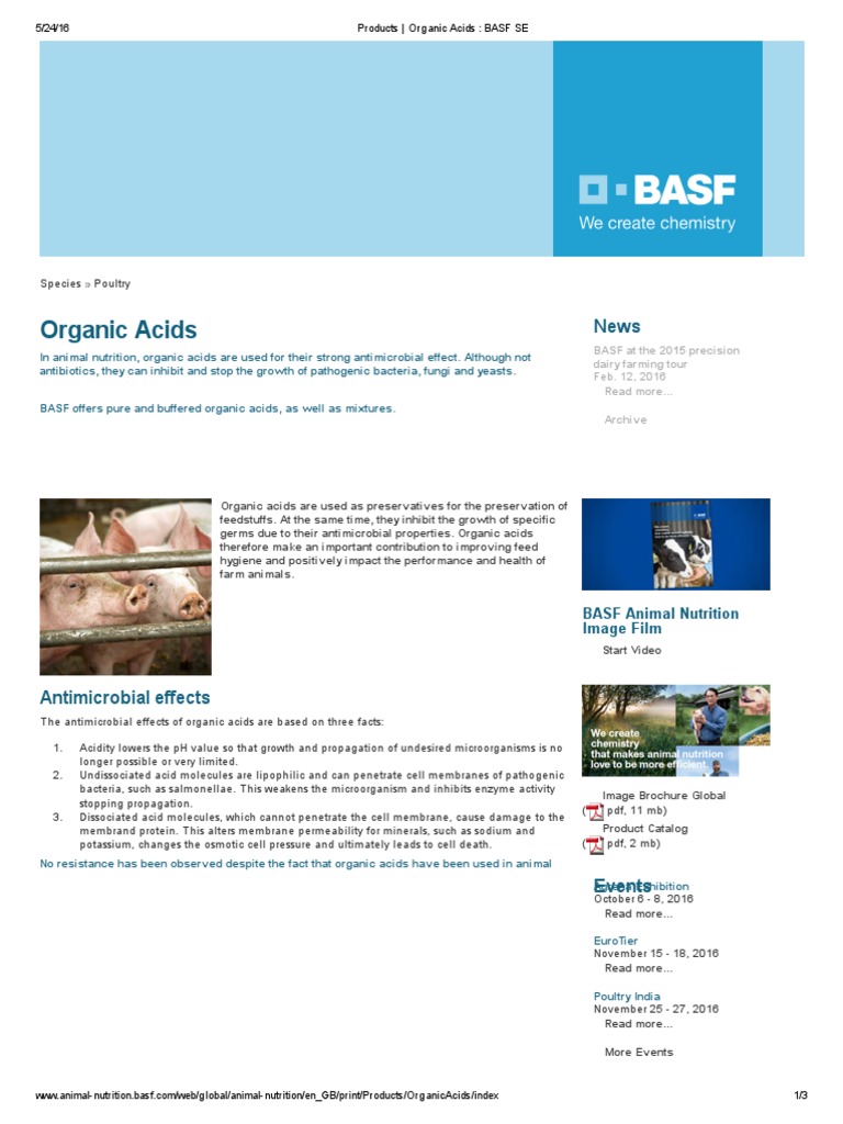 Products - Organic Acids - BASF SE | PDF | Antimicrobial | Bacteria