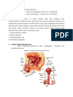 Tugas Kespro Anatomi Reproduksi