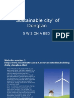 Sustainable City' of Dongtan: 5 W'S On A Bed