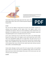 Tonsil Dialiri Kelenjar Getah Bening Yang Berasal Dari Superior Deep Cervical Nodes