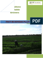 Business Plan Tomato Production Ndola Zimbabwe PDF