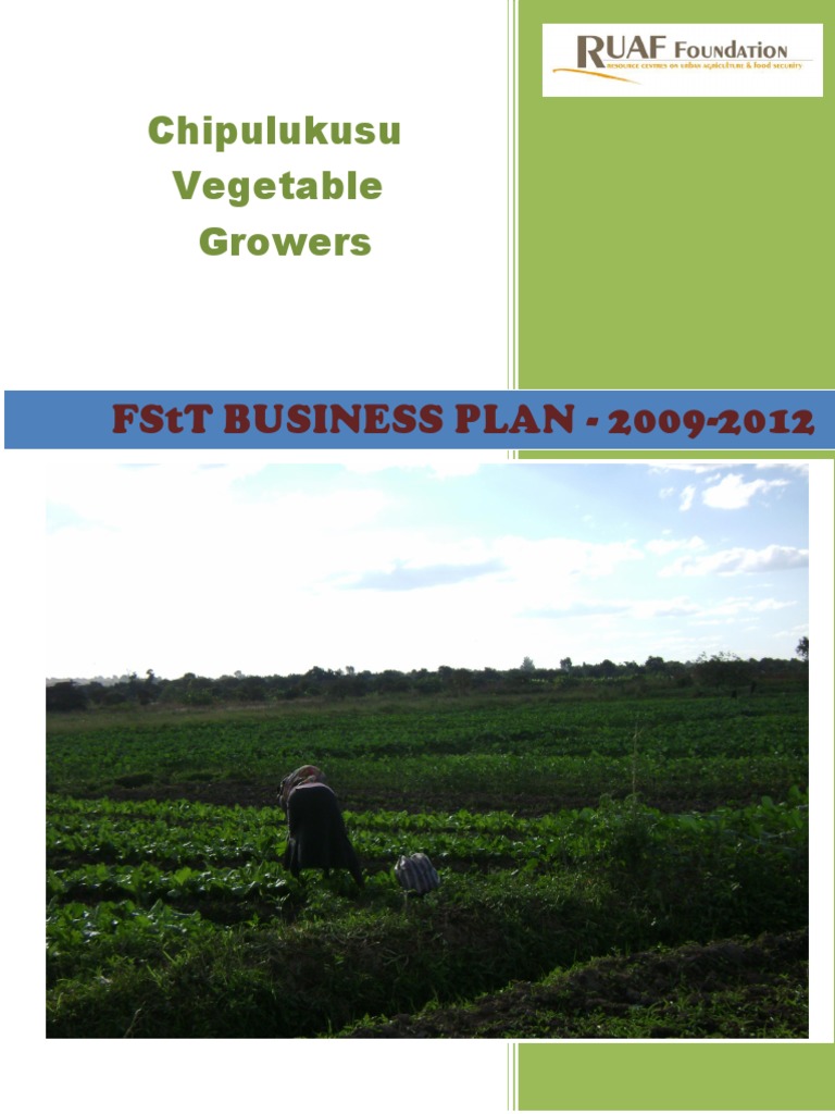 Tomato paste production process picture