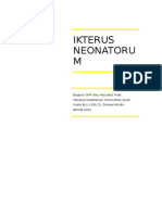 244601178-Ikterus-Neonatorum