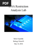Download dna restriction analysis lab report by api-311220399 SN314354682 doc pdf