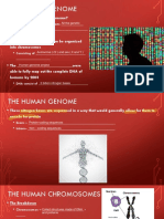 chapter 8 8-8 9   punnett squares notes