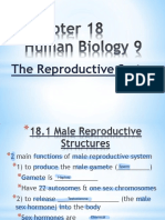chapter 18 reproductive system fill-in 2016