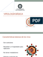 Clase 19. Virologia Basica PDF