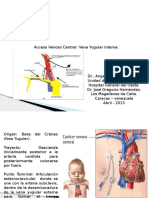 Acceso Venoso Central Vena Yugular Interna.