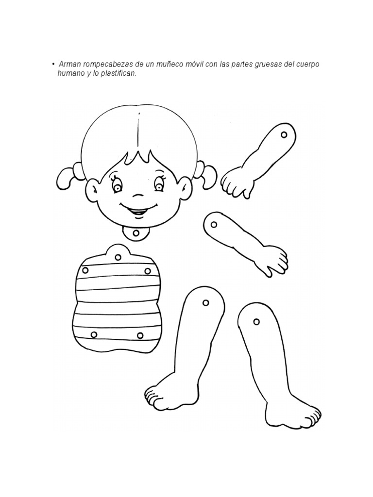 rompecabezas partes del cuerpo para niños
