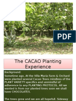 The CACAO Experience in Panay