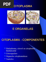 Citoplasma e Organelas