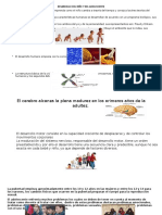 Desarrollo Del Niño y Del Adolescente