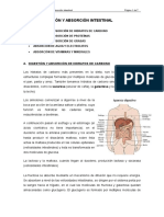 Tema II. Digestión y Absorción Intestinal