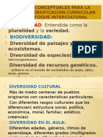 Referentes Conceptuales Para La Diversificación Curricular