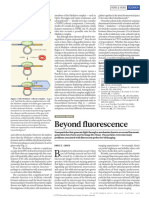 Beyond Fluorescence: News & Views