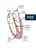 marcapaso cardiaco