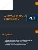 anatomi fisiologi kulit