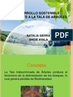 Desarrollo Sostenible Referente a La Tala de Arboles (1)