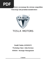 Tesla Motors Strategic Analysis