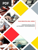Guia Didactica Del Curso