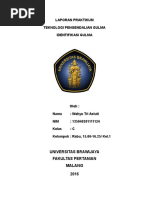 laporan penelitian pertumuhan tanaman terong laporan penelitian pertumuhan tanaman terong