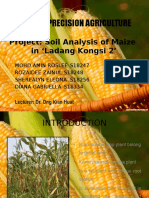 Maize Project Slides