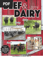 Beef & Dairy 2016 