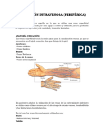 Administración de Terapia Intravenosa