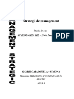 PROIECT - Strategii de Management