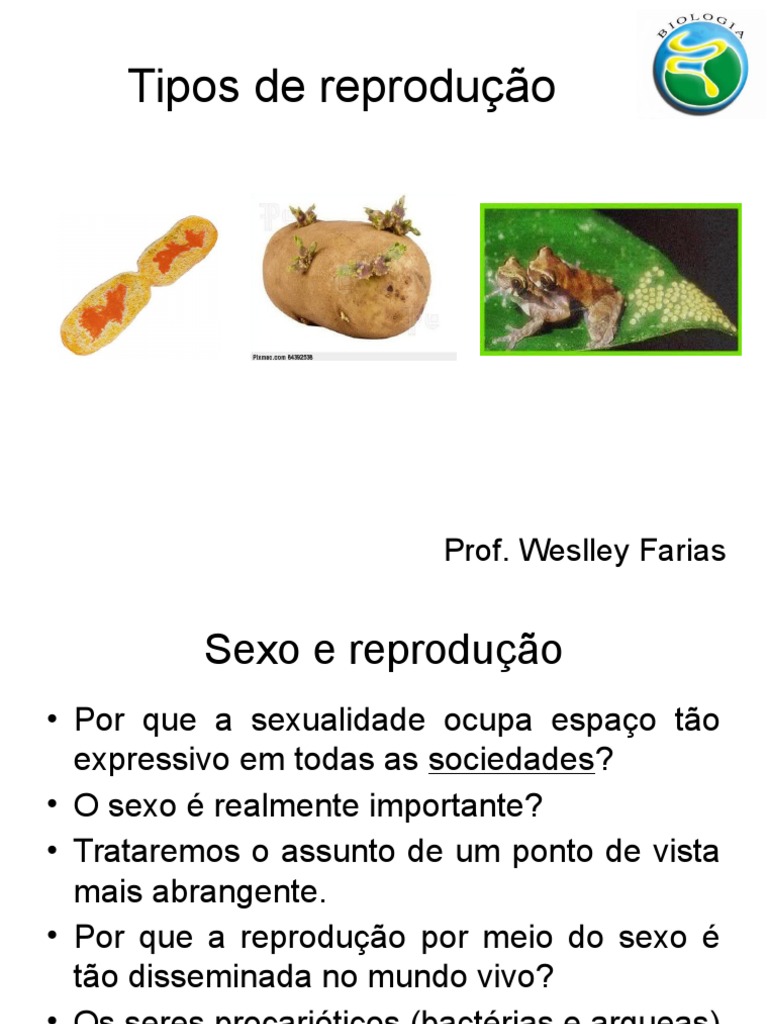 Qual A Importância Biológica Da Reprodução Sexuada