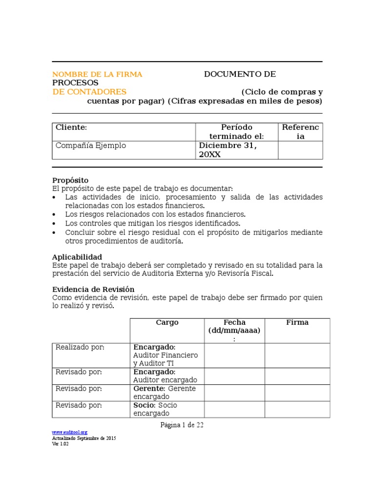 Auditoría del Ciclo de Compras | PDF | Presupuesto | Contabilidad