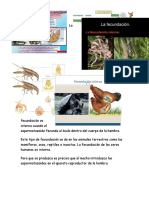 Reproduccio Sexual Externa y Interna