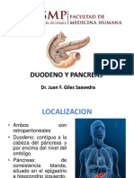 Duodeno y Pancreas Usmp 2016