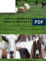 Raças Caprinas e Ovinas