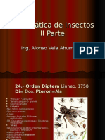 Sitemática de Insectos II Parte1