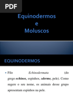 Equinodermos e Moluscos