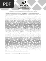 ENEPEX - Resumo Simples Gabriel Marchetto