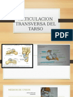 Articulacion Transversa Del Tarso