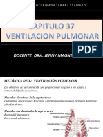 Resumo sistema respiratorio