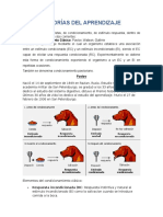 Trabajo Estimulo y Respuesta APRENDIZAJE