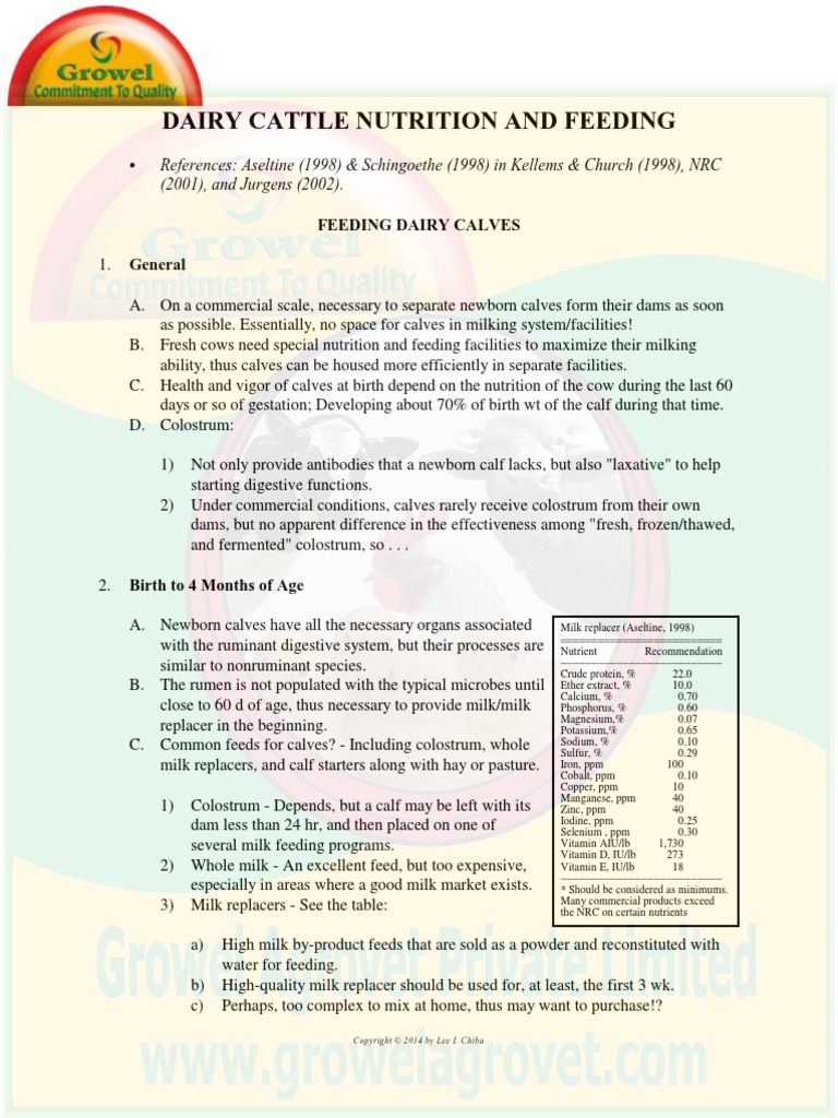 A Brief Guide to Dairy Cattle Feeding & Nutrition Dairy Farming Calf