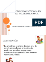 PRODUCCIÓN AVICOLA en El Valle Del Cauca